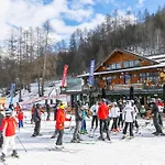 La Tana Dello Scoiattolo Skiing Nearby - Happy Appartamento Bardonecchia